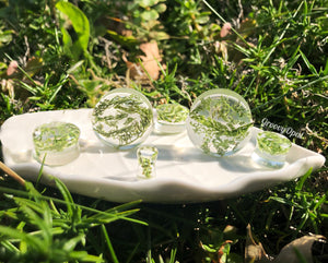 Assorted Green Nature Moss Jewelry Plugs | Groovy Opal, LLC.