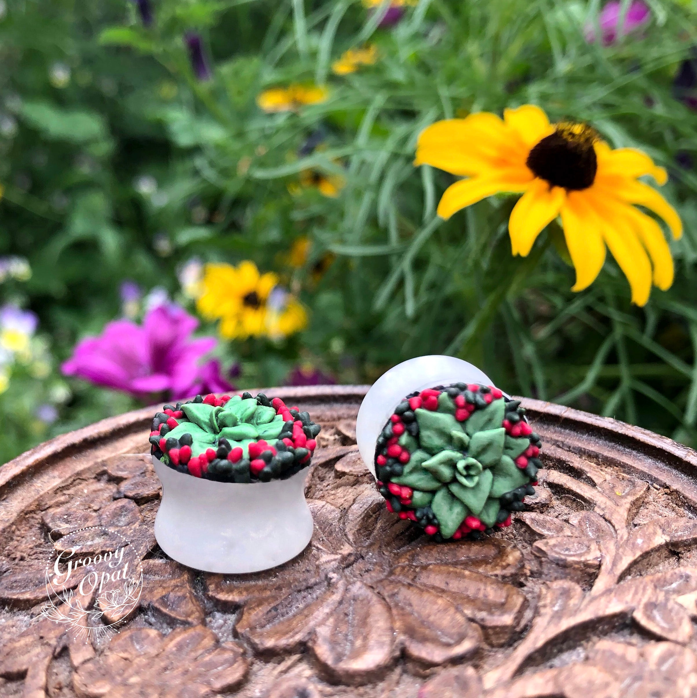 succulent plugs 16 mm Green and Pink Succulent Gauge Plugs